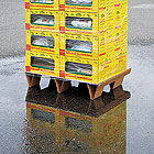 Bild: VEGA-Palettenkufen. 